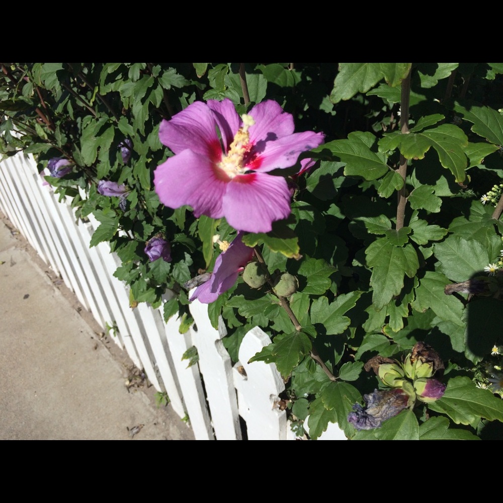 Meet your Posher, Mckenna